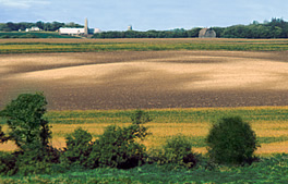Figure 11.3 Western Minnesota farm showing consequences of tillage/wind/water erosion with topsoil loss on hilltops and slopes. (USDA NRCS photo)
